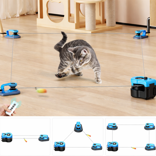 Meuzing - Indoor Interactive Cat Toy
