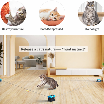 Meuzing - Indoor Interactive Cat Toy
